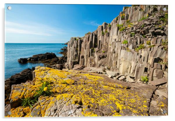 basalt rock cliffs Acrylic by Dave Reede