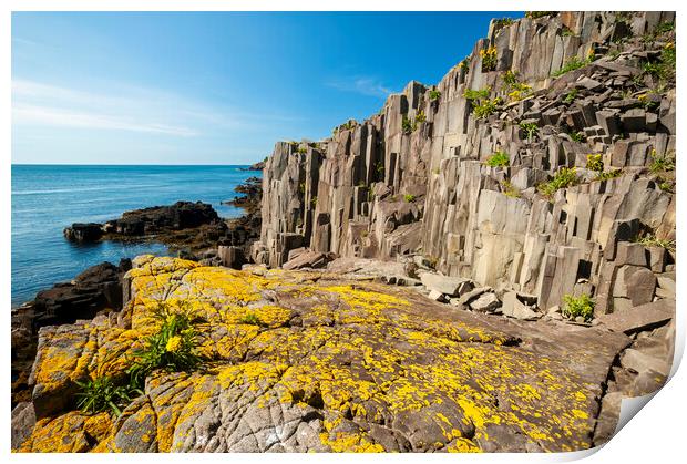 basalt rock cliffs Print by Dave Reede