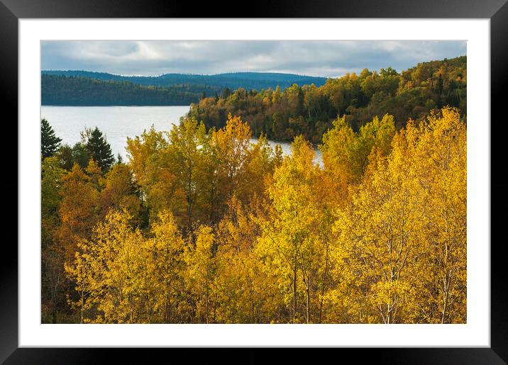 autumn Framed Mounted Print by Dave Reede