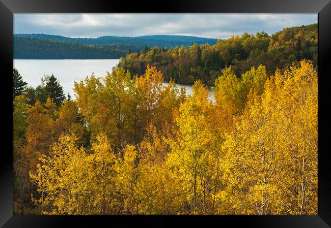 autumn Framed Print by Dave Reede