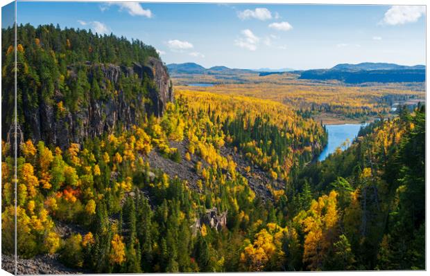 autumn, Ouimet Canyon Canvas Print by Dave Reede