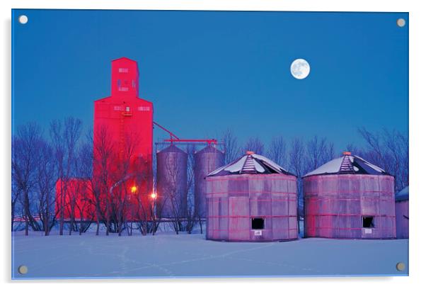 old grain bins on a farm next to a grain elevator Acrylic by Dave Reede