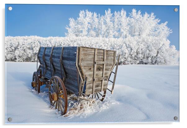 Wagon on a frosty day Acrylic by Dave Reede