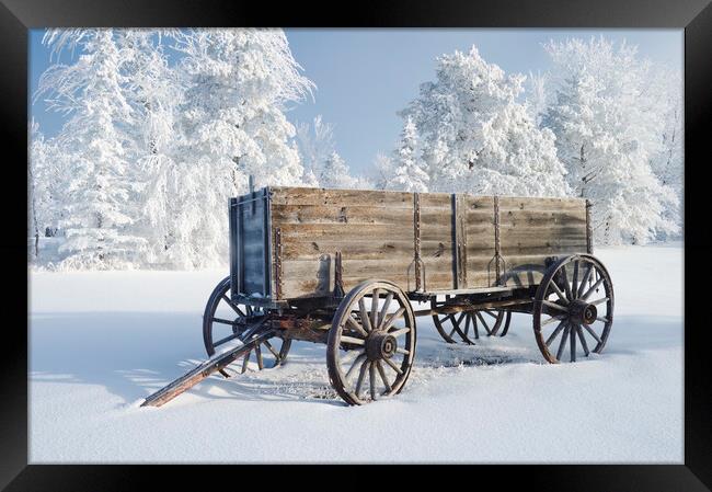 old wagon  Framed Print by Dave Reede