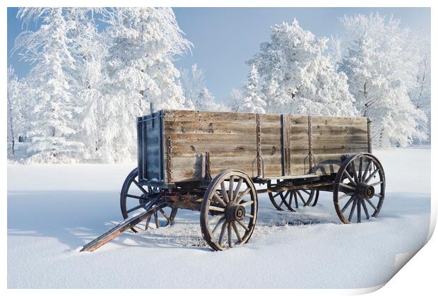 old wagon  Print by Dave Reede