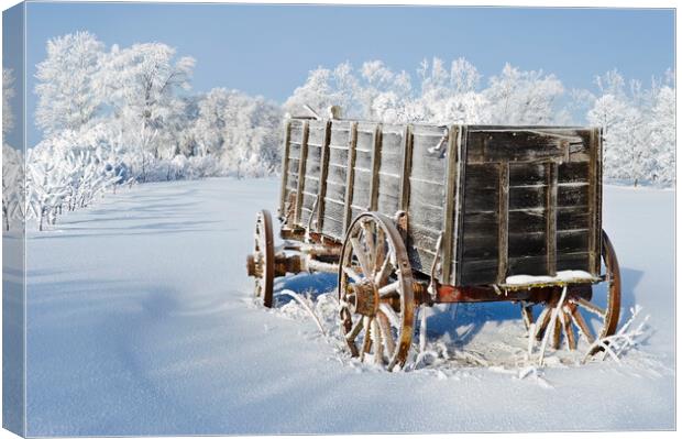 Wagon in the hoarfrost Canvas Print by Dave Reede
