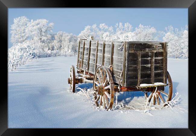 Wagon in the hoarfrost Framed Print by Dave Reede