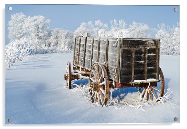 Wagon in the hoarfrost Acrylic by Dave Reede