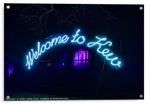Kew Gardens Light Trail | London Acrylic by Adam Cooke