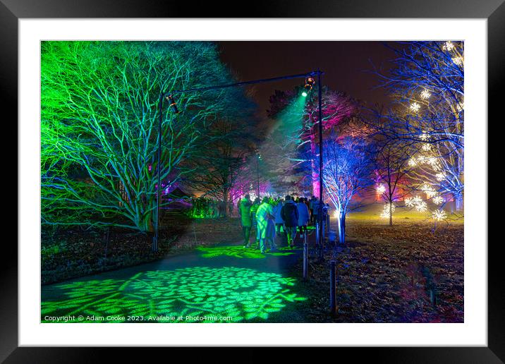 Kew Gardens Light Trail | London Framed Mounted Print by Adam Cooke