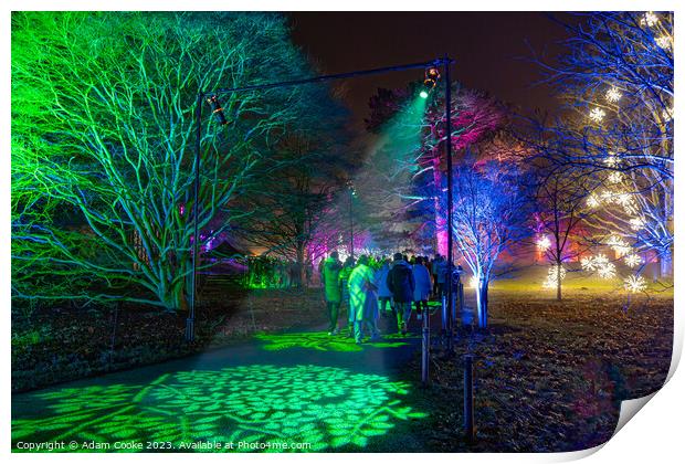 Kew Gardens Light Trail | London Print by Adam Cooke