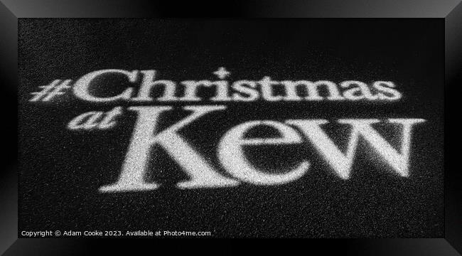 Christmas at Kew | Kew Gardens | London Framed Print by Adam Cooke