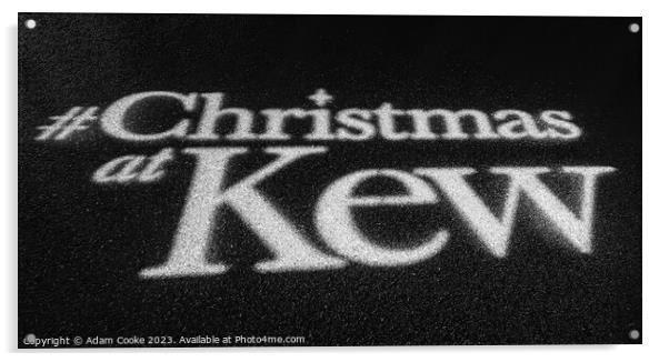 Christmas at Kew | Kew Gardens | London Acrylic by Adam Cooke
