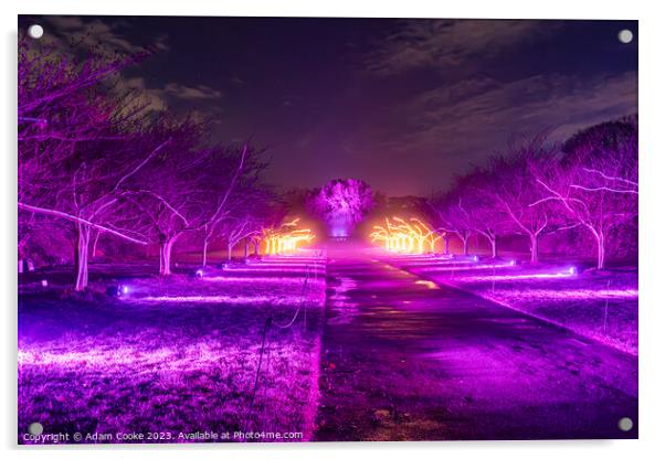 Kew Gardens Light Trail | London Acrylic by Adam Cooke