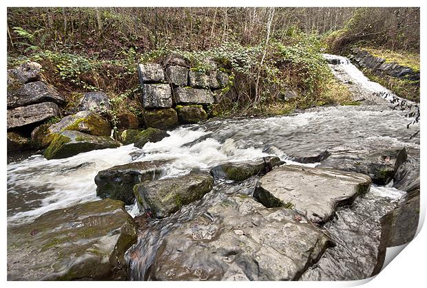 Rushing Water Print by Steve Purnell