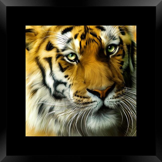 Sumatran Tiger Square portrait Framed Print by Julie Hoddinott
