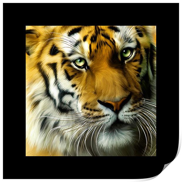 Sumatran Tiger Square portrait Print by Julie Hoddinott