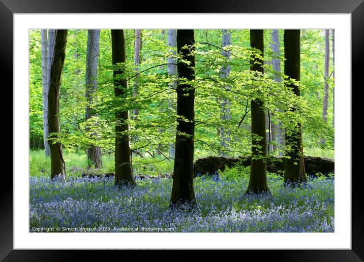 Beech Woodland and Bluebells Snowshill Woodland Co Framed Mounted Print by Simon Johnson