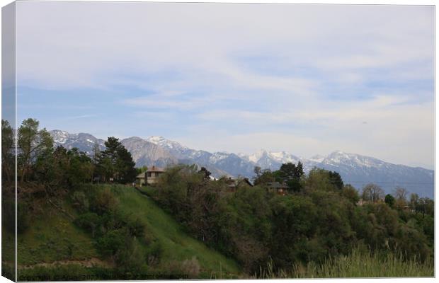 Memorial park in Salt Lake city Canvas Print by Arun 