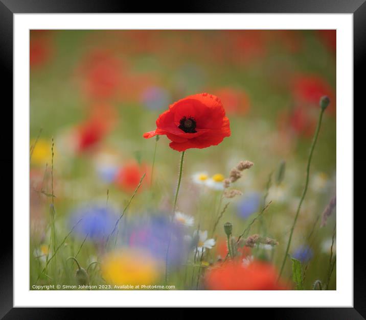 A close up of a poppy flower  Framed Mounted Print by Simon Johnson