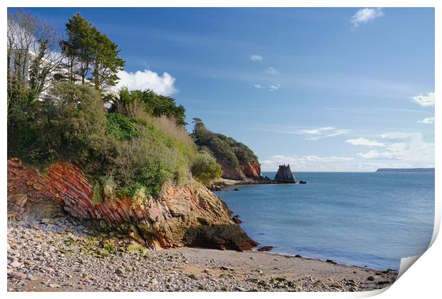 Beacon Cove Devon Print by Alison Chambers