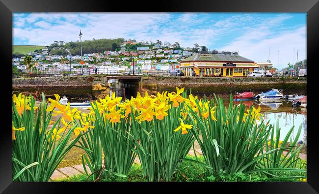 Dartmouth Daffodils  Framed Print by Alison Chambers