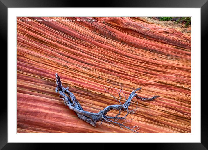 The Wonder Colours At South Coyote Buttes Framed Mounted Print by Derek Daniel