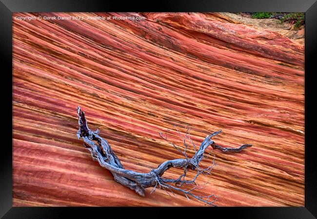 The Wonder Colours At South Coyote Buttes Framed Print by Derek Daniel