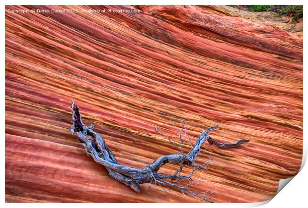 The Wonder Colours At South Coyote Buttes Print by Derek Daniel