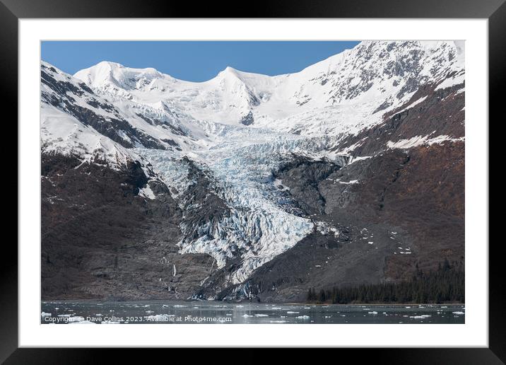 A small Tidal Glacier in College Fjord, Prince William Sound, Alaska, USA Framed Mounted Print by Dave Collins