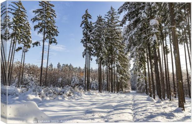 Snowy forest after heavy snowfall in central Europe Canvas Print by Sergey Fedoskin