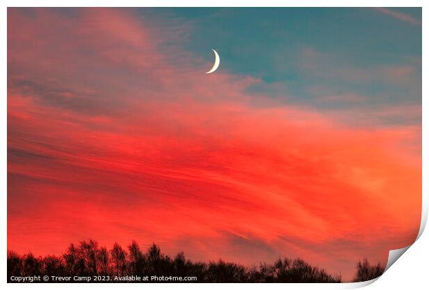 Moonlit Sunset Print by Trevor Camp