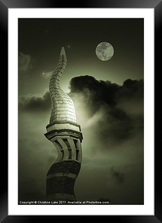 Dancing in the Moonlight Framed Mounted Print by Christine Lake