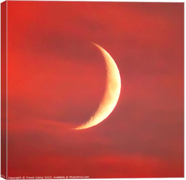 Crecent Moon Sunset Canvas Print by Trevor Camp