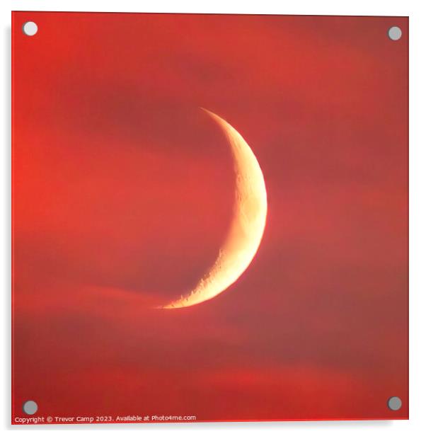 Crecent Moon Sunset Acrylic by Trevor Camp