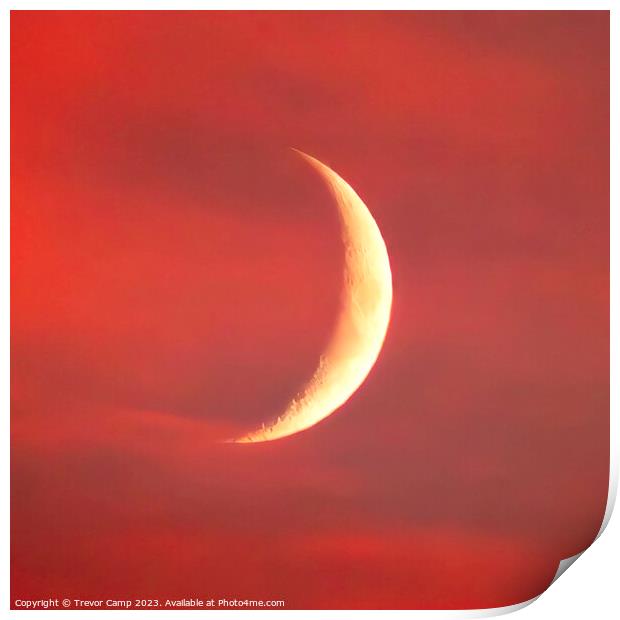 Crecent Moon Sunset Print by Trevor Camp