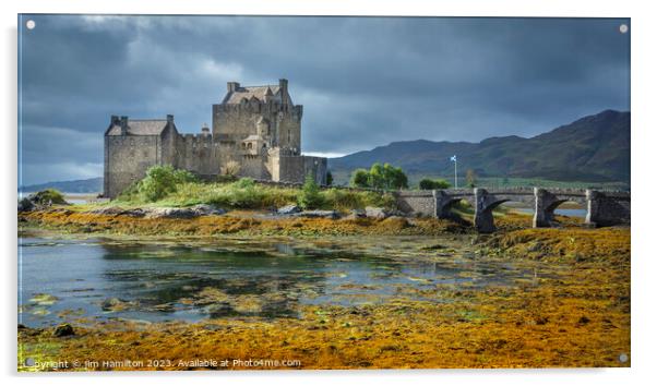 Eilean Donan castle Scotland Acrylic by jim Hamilton