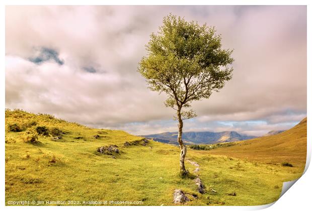 Lone tree on the Isle of Skye, Scotland Print by jim Hamilton