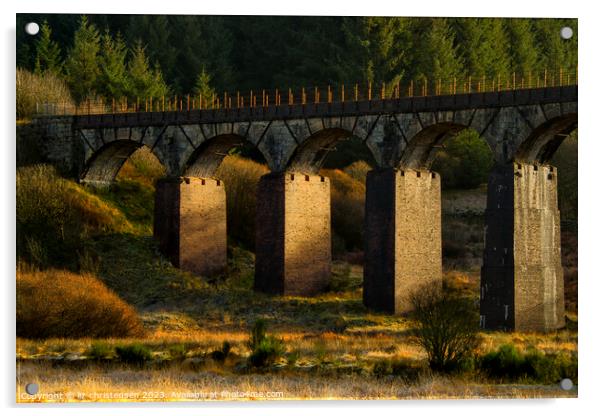 Big Water Of Fleet Viaduct Acrylic by liz christensen