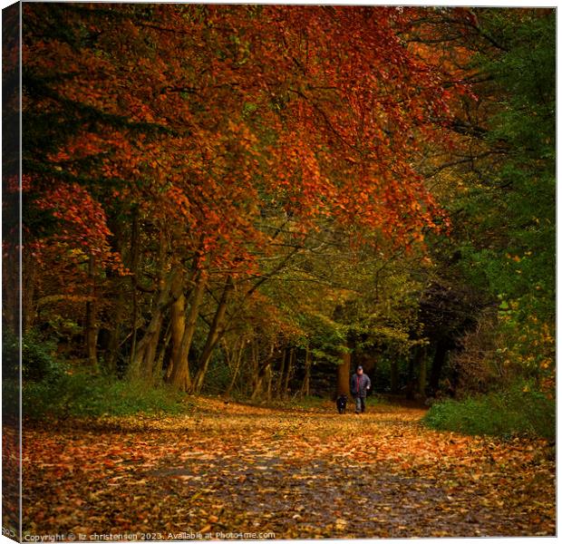 Autumn Walkies Canvas Print by liz christensen