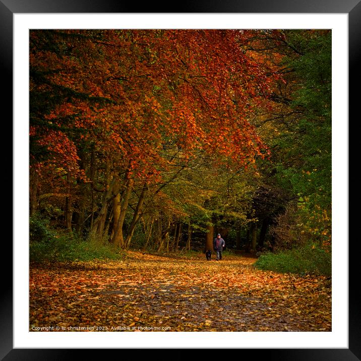 Autumn Walkies Framed Mounted Print by liz christensen