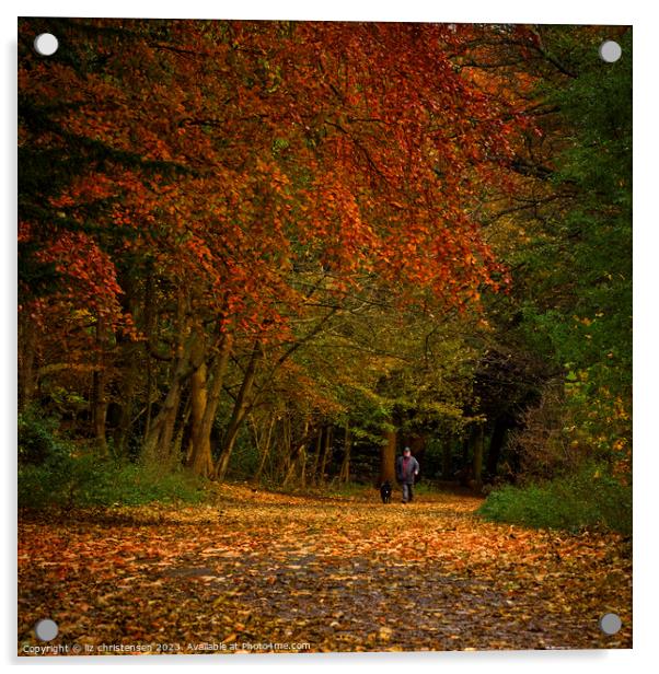 Autumn Walkies Acrylic by liz christensen