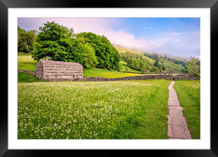 Muker Wildflower Meadows: Yorkshire Dales Framed Mounted Print by Tim Hill