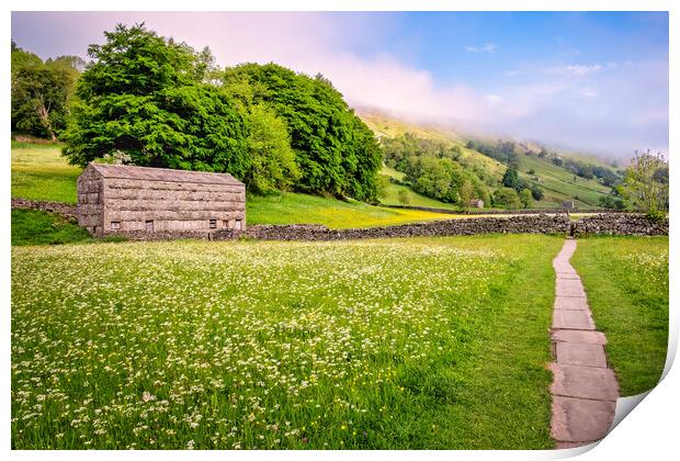 Muker Wildflower Meadows: Yorkshire Dales Print by Tim Hill