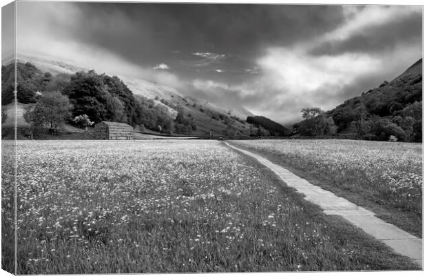 Yorkshire Dales Black and White Canvas Print by Tim Hill
