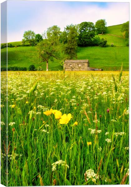 Muker Wildflower Meadow Yorkshire Dales Canvas Print by Tim Hill