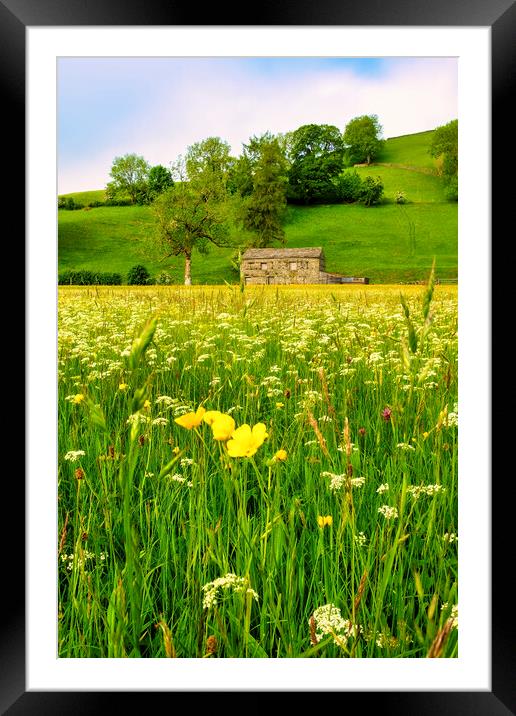 Muker Wildflower Meadow Yorkshire Dales Framed Mounted Print by Tim Hill