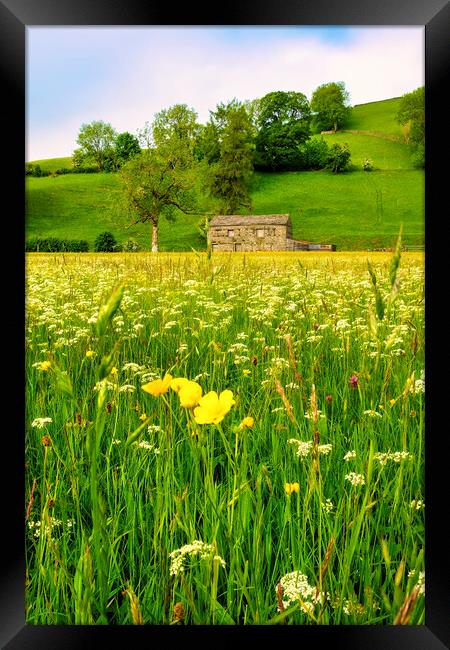 Muker Wildflower Meadow Yorkshire Dales Framed Print by Tim Hill