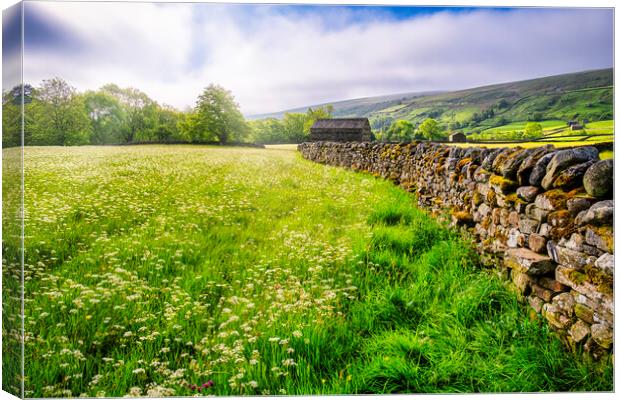 Muker Wildflower Meadows Yorkshire Dales Canvas Print by Tim Hill
