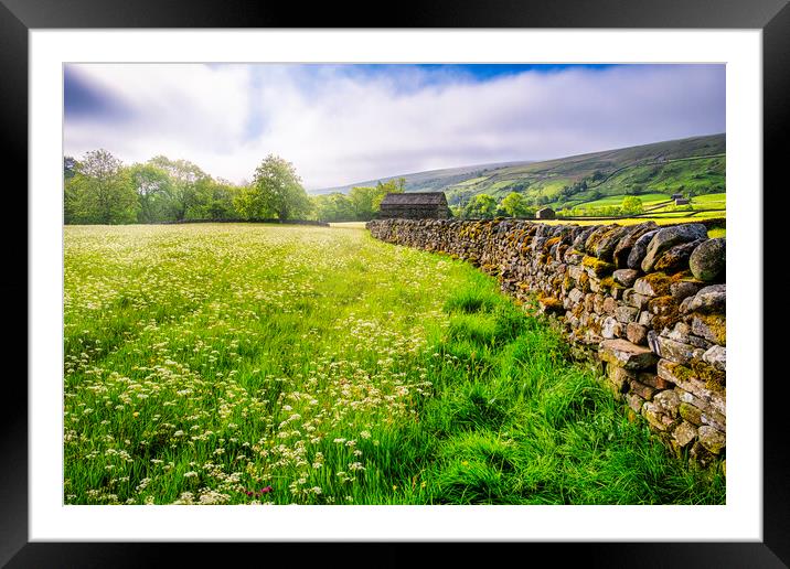 Muker Wildflower Meadows Yorkshire Dales Framed Mounted Print by Tim Hill